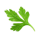 Masové kuličky v rajské Ingredient 4