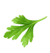 Masové kuličky v rajské Ingredient 5