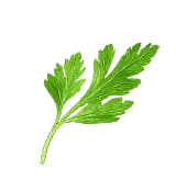 Masové kuličky v rajské Ingredient 6