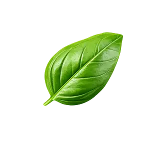 Špagetka s masem a rajčaty Ingredient 1