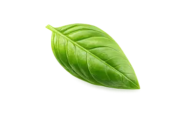 Špagetka s masem a rajčaty Ingredient 2